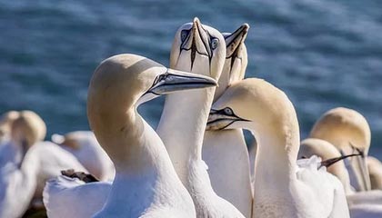 bob半岛体育：在海风中训练，在生活里闪耀